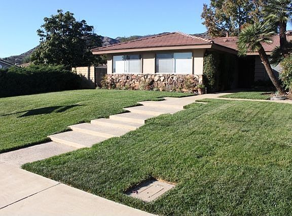 Manicured front yard