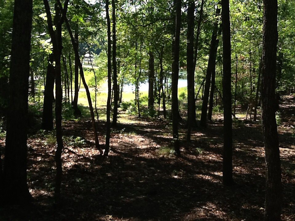 Lot line to the water.