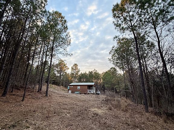 12th image of 1 Roan Creek Rd