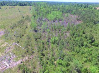 County Road 392, Wewahitchka, FL 32449