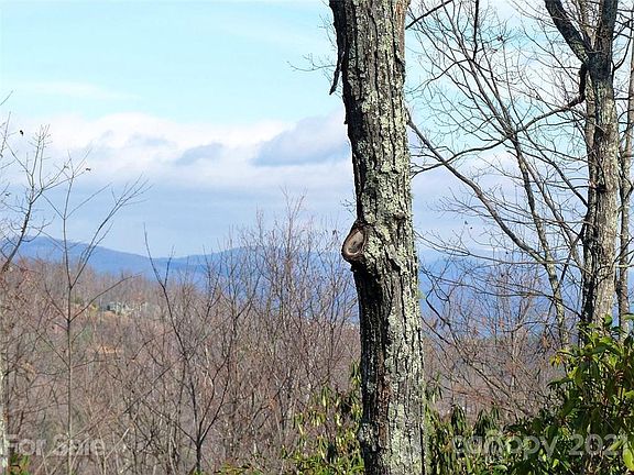 4th image of 101 Bollers Knob Ln #96