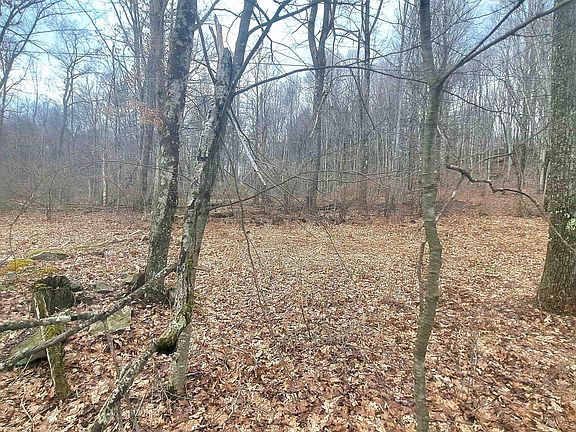 4th image of Glade Run Rd