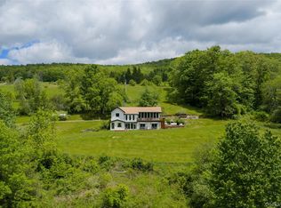 822 Burton Hill Road, Margaretville, NY 12455