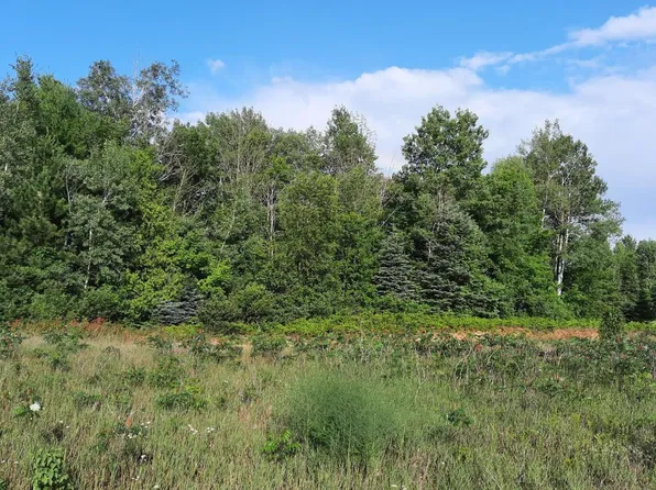 Black Bear Rd, Alpena, MI 49707