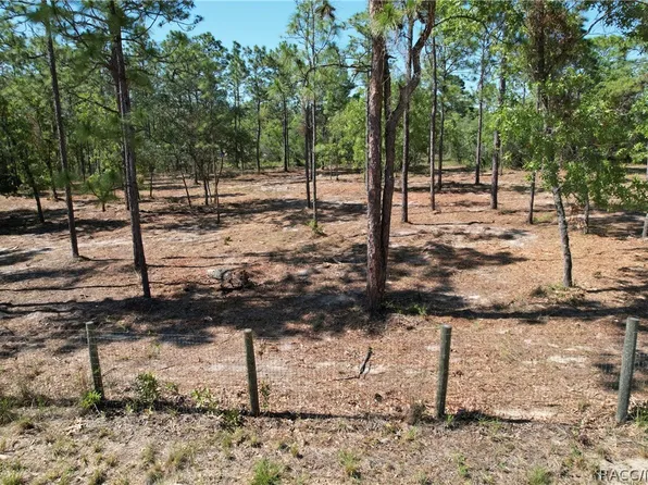 5563 W Osmond Ln, Dunnellon, FL 34433