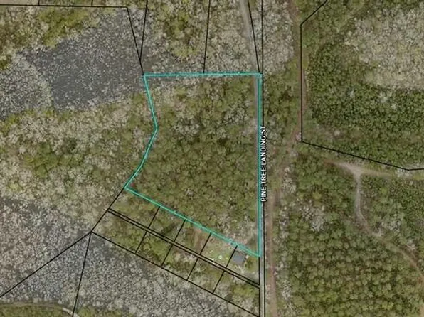 0 Pine Tree Lndg, Andrews, SC 29510