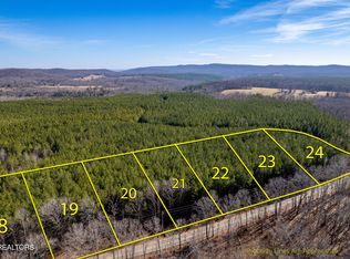 Lower Rockwood Rd LOT 19, Rockwood, TN 37854
