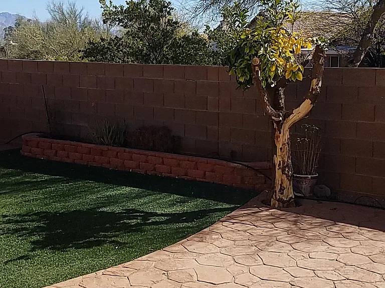 backyard