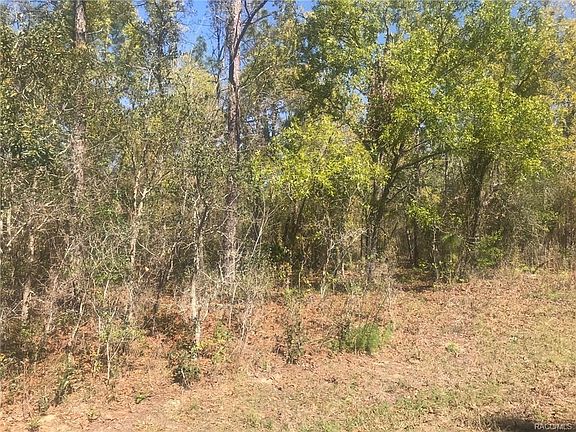 3rd image of 9124 N Saponaria Dr