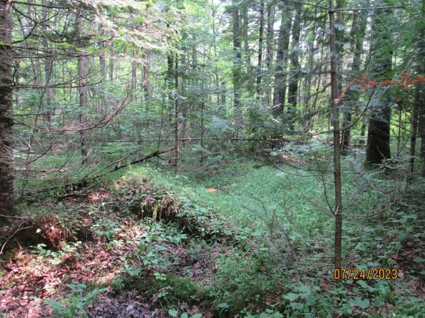 N11107 Highbridge Rd S, Phillips, WI 54555