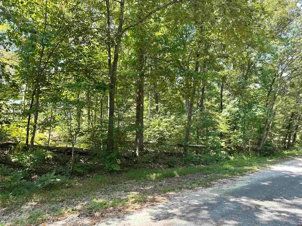 0 Otts Rd, Buchanan, TN 38222