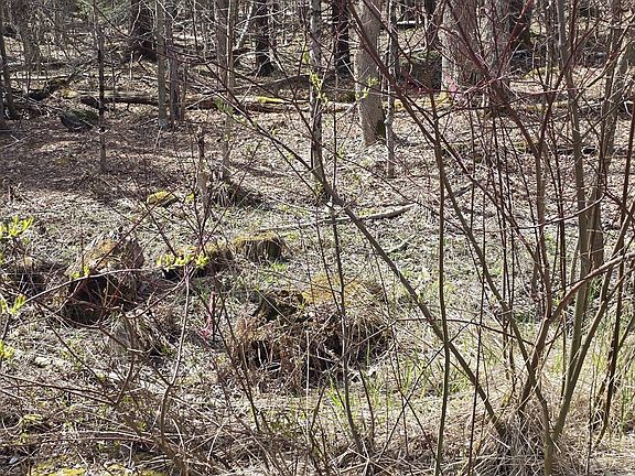 5th image of 360 Jacobs Ladder Rd