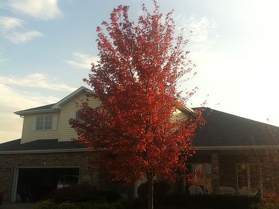2nd image of 9260 Drake Dr
