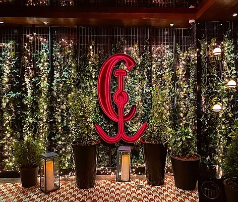 Rented by Douglas Elliman | media 27