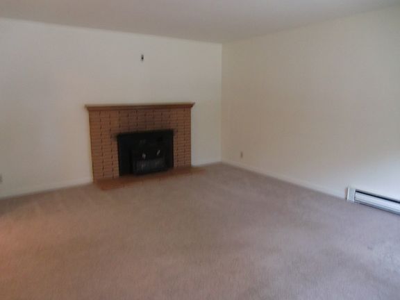Living room fireplace