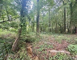 2nd image of 0 Cherokee Rd