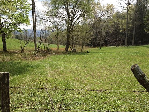 4th image of The Hills Ln