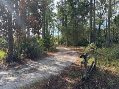 Wild Acres Trl Lot 7, Paisley, FL, 32767