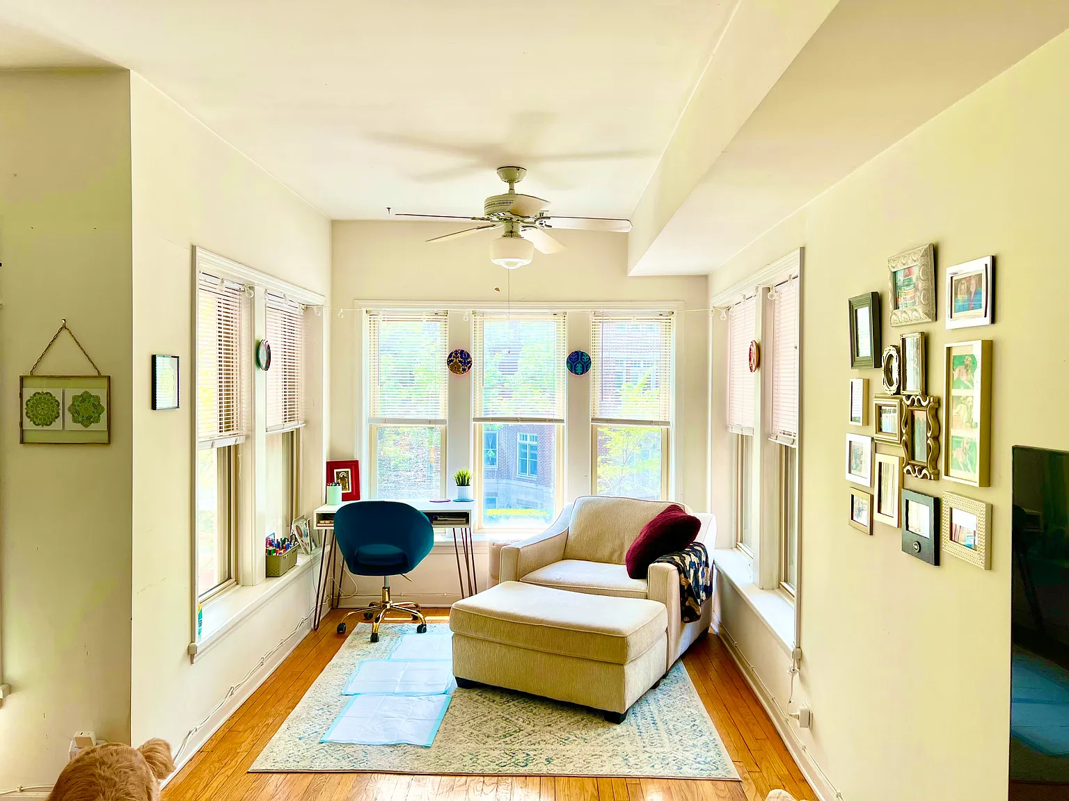 3 bed, 1900 sqft, $3,000 — Photo 3