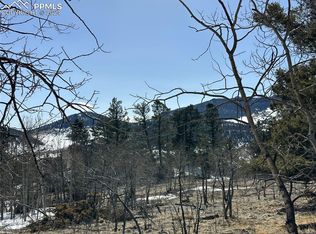106 Bear View Ln, Guffey, CO 80820