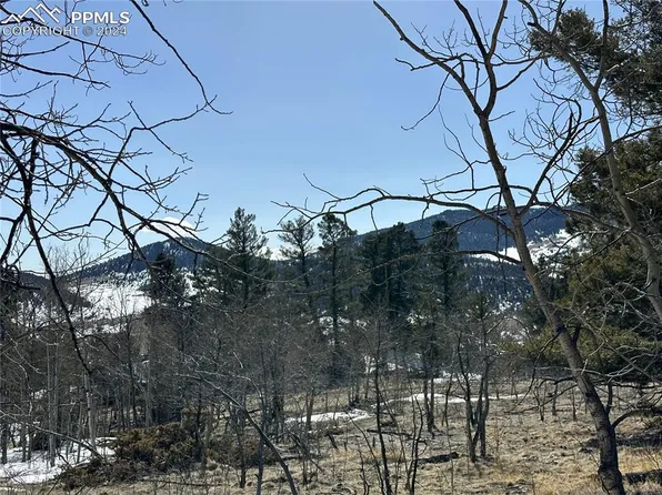 106 Bear View Ln, Guffey, CO 80820