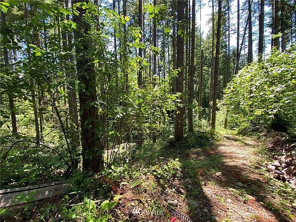 4th image of 22721 Laceywood Ct SE