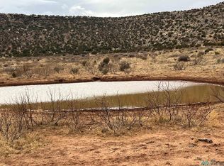 16 County Road C56a, Trementina, NM 88439