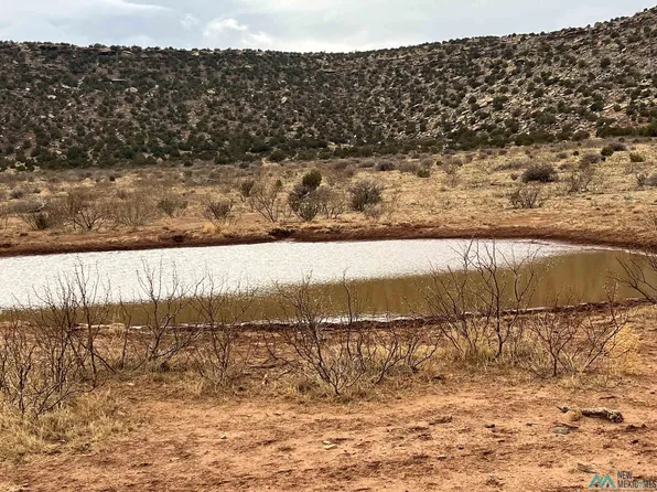 16 County Road C56a, Trementina, NM 88439