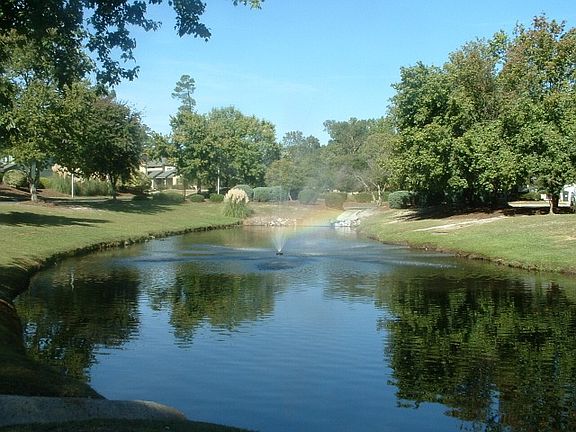 Duck Ponds