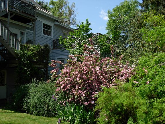 Side Yard SE