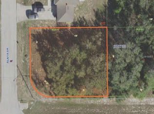 1201 Alafia Dr, Poinciana, FL 34759