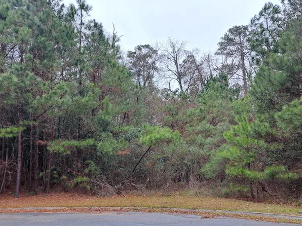 118 N Laura Ann Ct, Macon, GA 31210