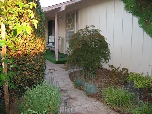 Secluded Courtyaard