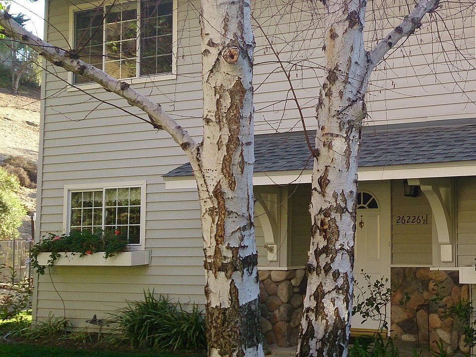 Front of Unit