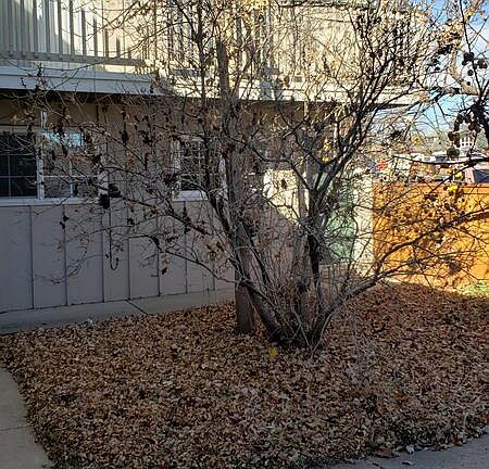 2nd image of 1609 Cottonwood Dr APT 1