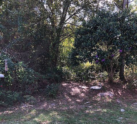 3rd image of 292 Shoreline Dr