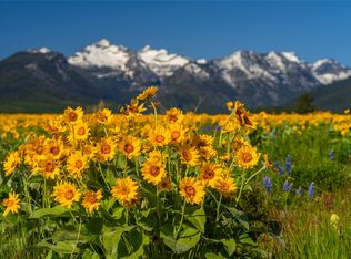 2519 Old Darby Rd, Darby, MT 59829