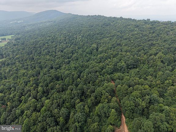2nd image of TRACT 3 2232/acres At 2668 Moss Rd