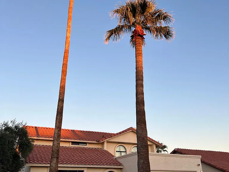 1745 N La Rosa Dr — Photo 39