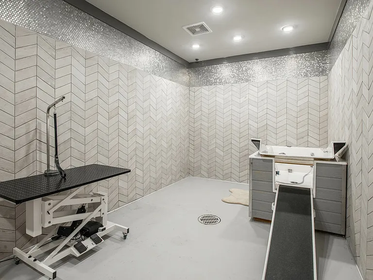 SYNC at Jonquil — Photo 19