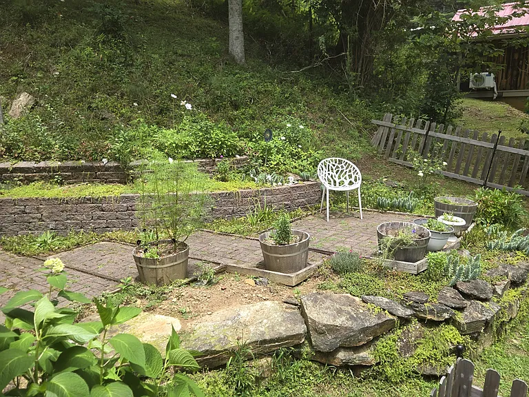 443 George Hayes Rd — Photo 13