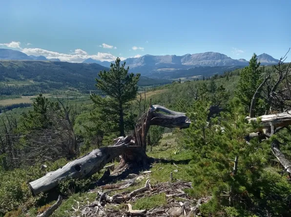 Nhn Highway Starr School Rd #89, Browning, MT 59417