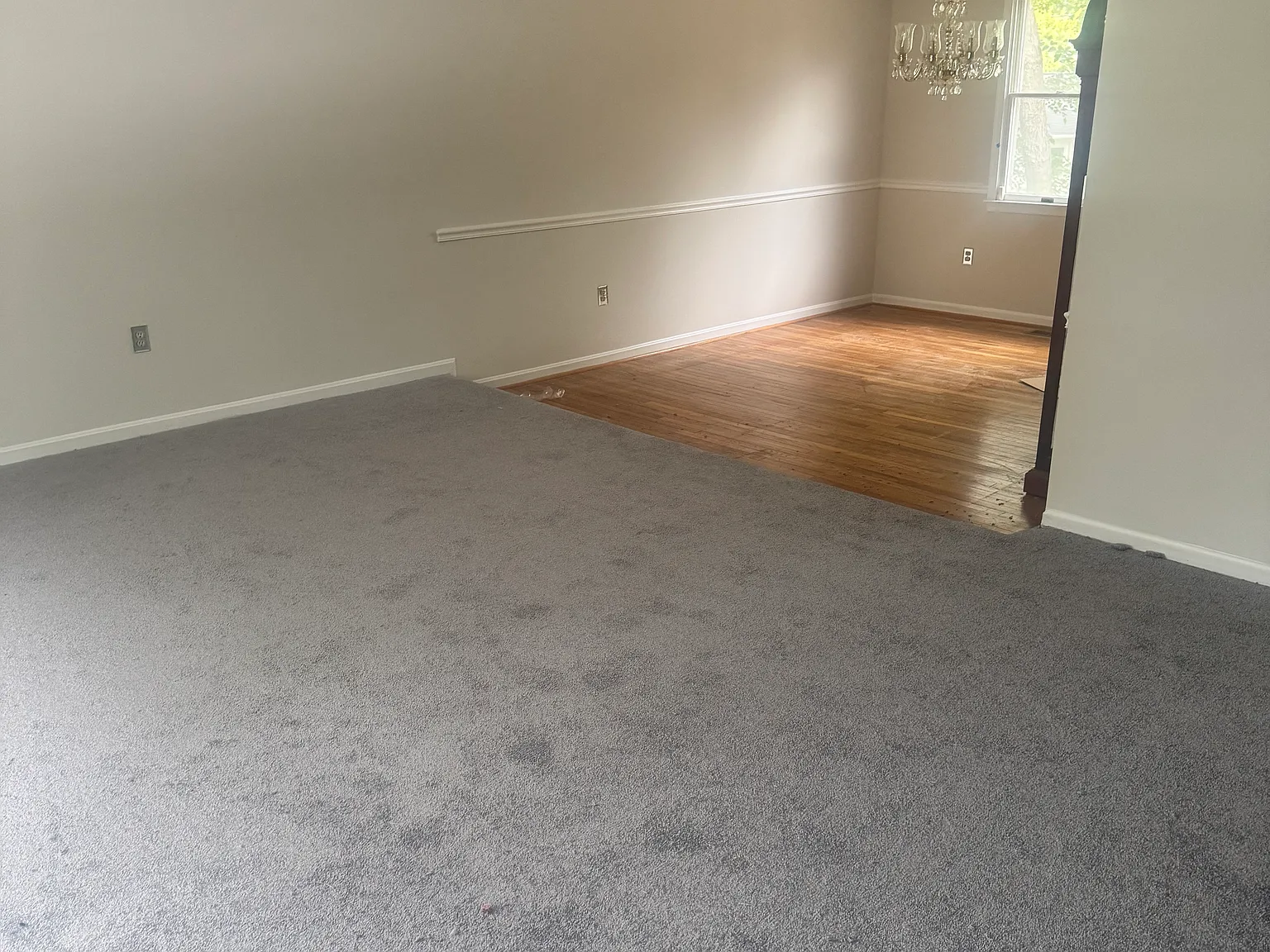 4 bed, 1686 sqft, $3,695 — Photo 3