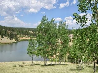 298 E Lake Dr, Divide, CO 80814