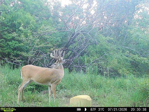 5th image of 1673 17th Rd