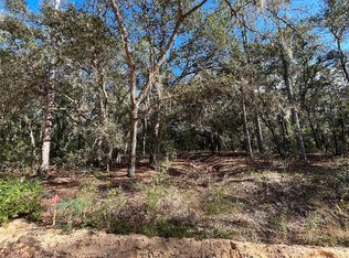 S Cooper Lake Dr LOT 1, Interlachen, FL 32148