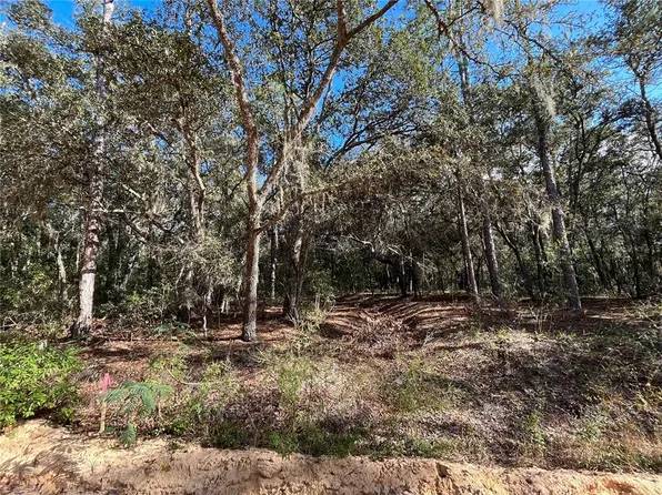 S Cooper Lake Dr Lot 1, Interlachen, FL 32148