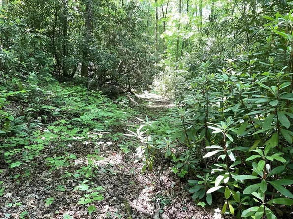 0 Cold Springs Ln, Hayesville, NC 28904