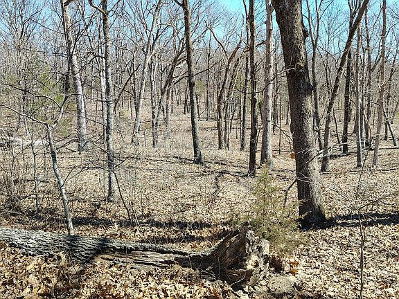 3rd image of 17740 Hwy 133