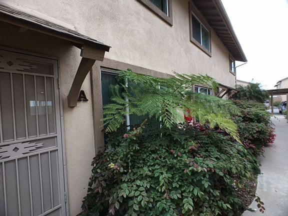 2nd image of 1800-1804 Sanford St #1810